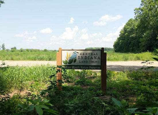 indiana/the-southern-hills-and-lowlands/landmark/meltzer-woods