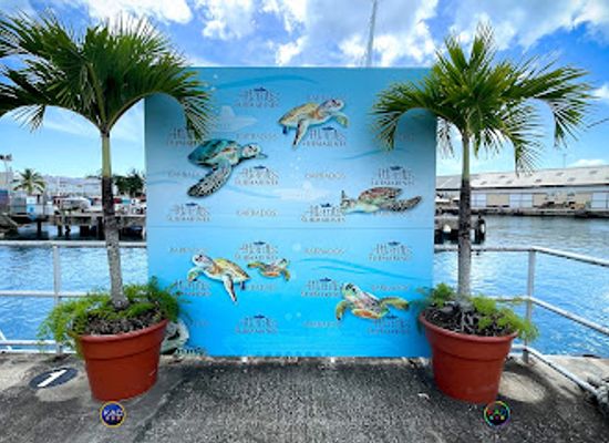barbados/east-coast/landmark/atlantis-submarines-barbados