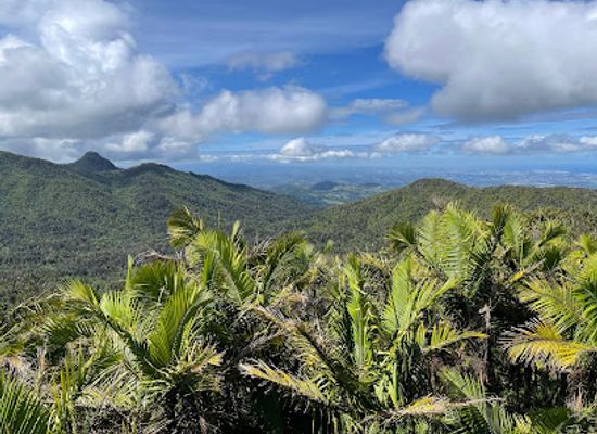 puerto-rico/el-yunque-national-forest/landmark/torre-britton
