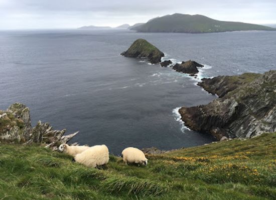 ireland/slea-head-drive/landmark/dunmore-head