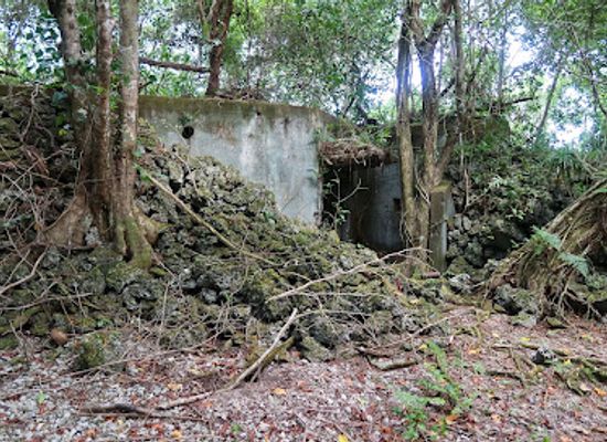 palau/peleliu/landmark/japanese-coastal-defense-bunker