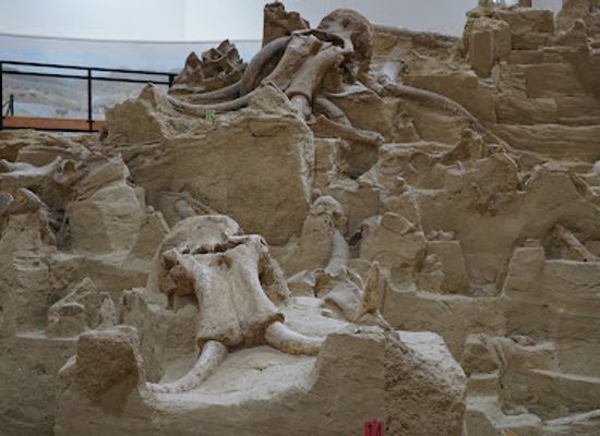 south-dakota/badlands/landmark/the-mammoth-site