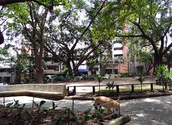 colombia/medellin/laureles/landmark/primer-parque-de-laureles