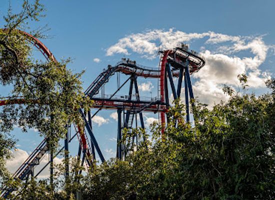florida/tampa-bay-area/landmark/busch-gardens-tampa-bay