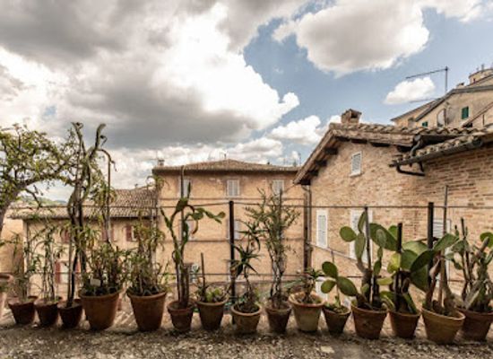 italy/urbino/landmark/botanical-garden-of-the-university