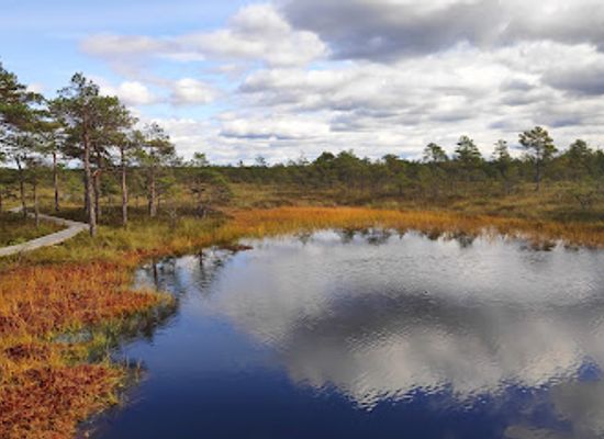 estonia/viljandimaa/landmark/soomaa-national-park