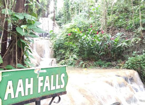 jamaica/john-crow-mountains/landmark/turtle-river-park