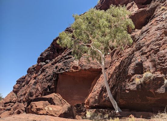 australia/macdonnell-ranges/landmark/palm-valley