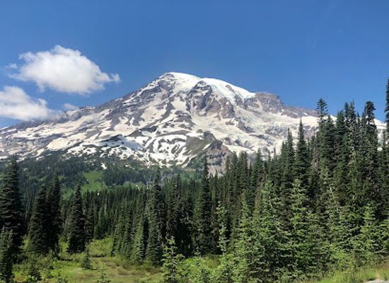 washington/mount-rainier-national-park/landmark/christine-falls-bridge