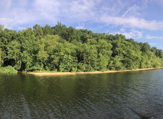 kentucky/land-between-the-lakes-national-recreation-area/landmark/moss-creek-day-use-area