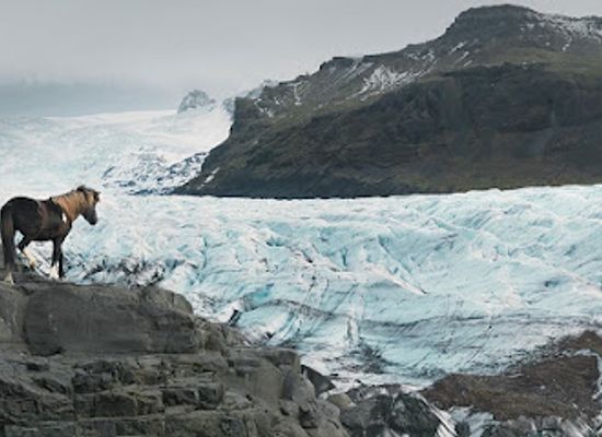 iceland/skaftafell/landmark/glacier-horses