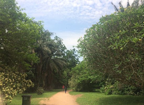 ghana/kumasi/danyame/landmark/knust-botanical-garden