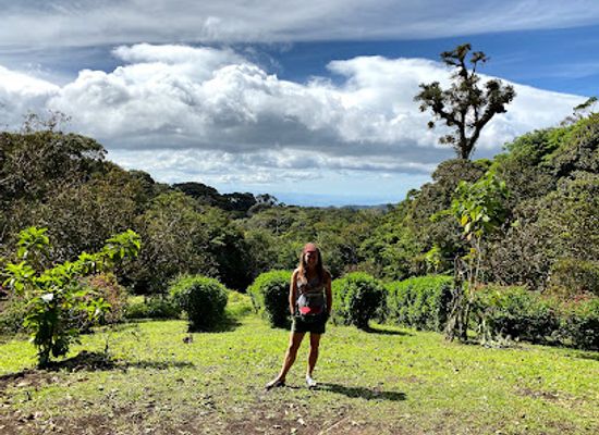 costa-rica/monteverde/landmark/curi-cancha-reserve