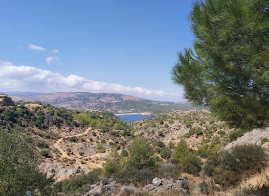cyprus/cedar-valley/landmark/paphos-forest