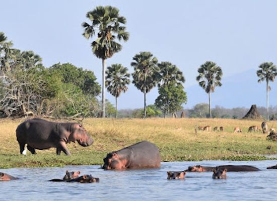 malawi/lilongwe-plain/landmark/1-2-travel-africa