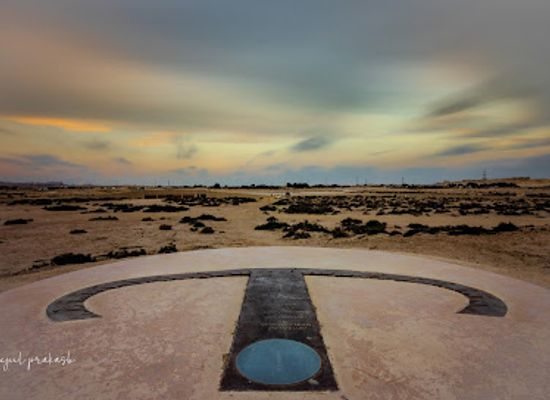 bahrain/manama/landmark/tree-of-life