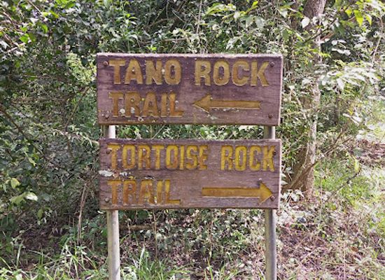 ghana/brong-ahafo/landmark/tano-sacred-grove-and-shrine