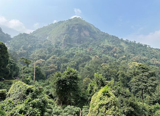 india/kerala/landmark/kovai-kutralam-water-falls