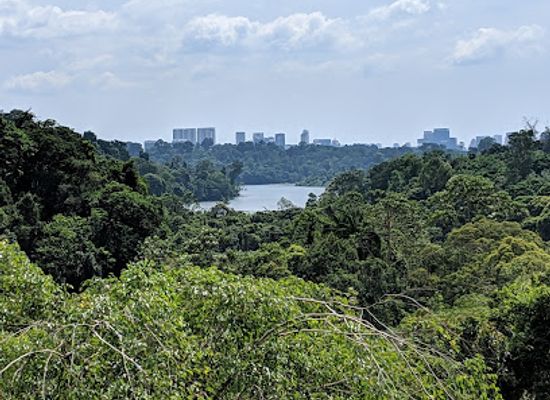 singapore/north-region/landmark/jelutong-tower