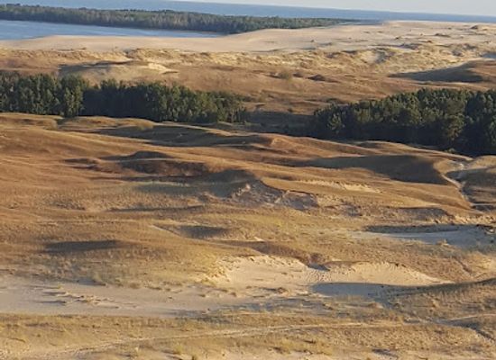 lithuania/palanga-beach/landmark/egle-the-queen-of-serpents