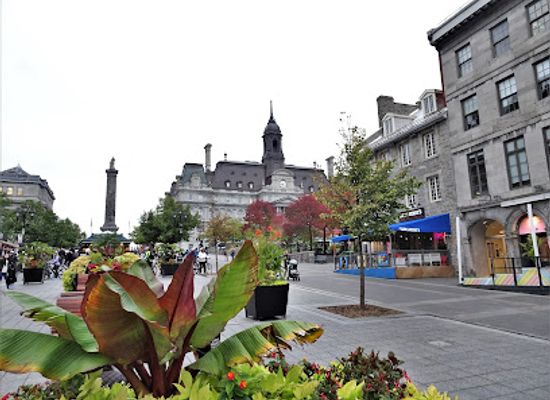 canada/montreal/old-montreal/landmark/place-jacques-cartier