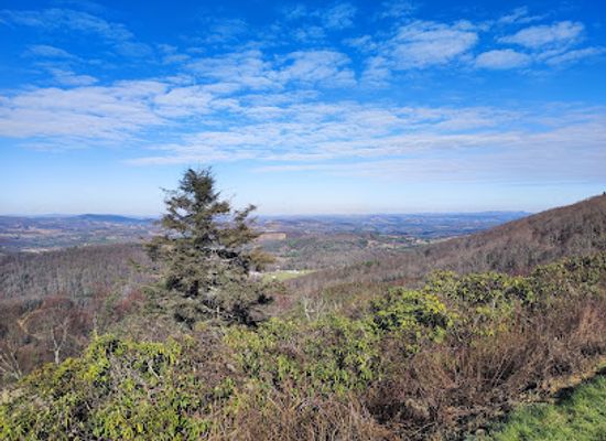 virginia/blue-ridge-highlands/landmark/brinegar-cabin