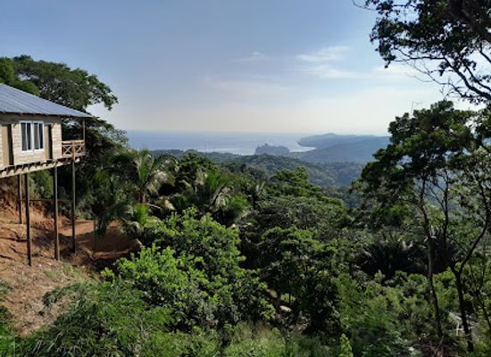 honduras/sula-valley/landmark/daniel-johnson-s-monkey-and-sloth-hang-out