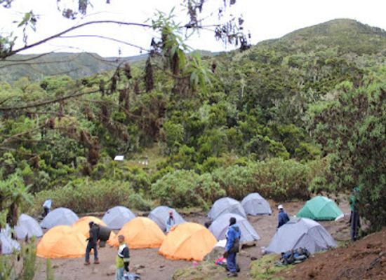 tanzania/kilimanjaro-region/landmark/kilimanjaro-lifetime-adventures-and-safaris-best-tanzania-local-tour-agency-best-kilimanjaro-and-safari-guide-in-tanzania