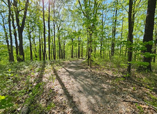 indiana/hoosier-national-forest/landmark/mogan-ridge-west-trailhead