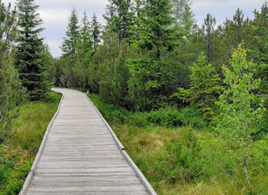 czechia/sumava-national-park/landmark/jezerni-slat