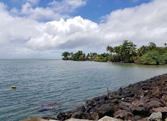 samoa/upolu-island/landmark/piula-cave-pool