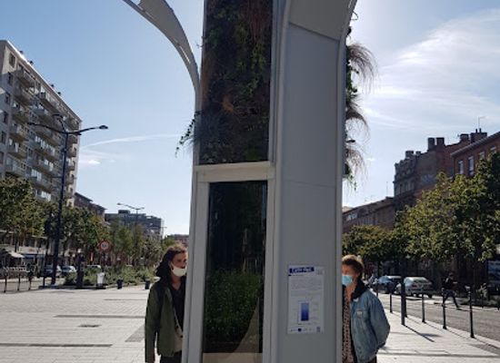 france/toulouse/landmark/l-arbre-algal