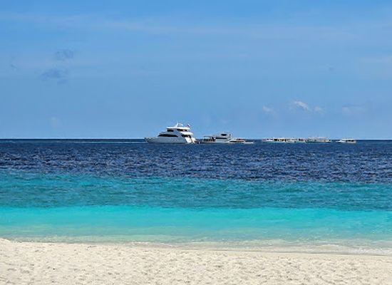 maldives/alimatha-island/landmark/dhiggiri-shark-point
