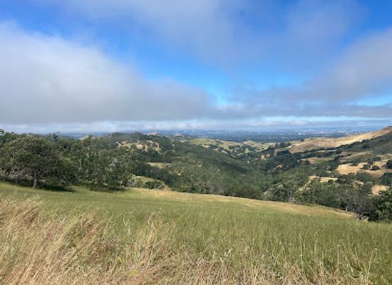 california/walnut-creek/landmark/mt-diablo-hg-pg-lz