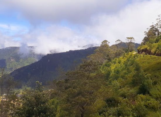 sri-lanka/horton-plains-national-park/landmark/wonderful-ohiya