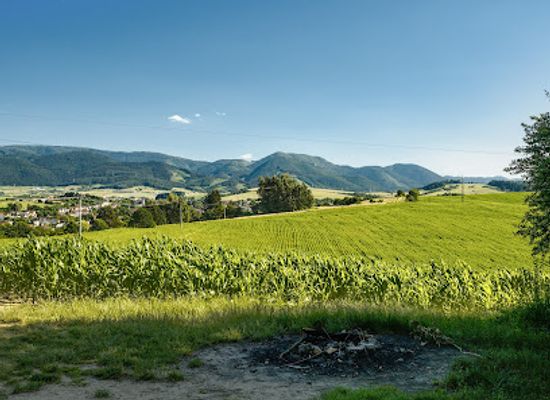 slovakia/zilina-region/landmark/zilina-forest-park