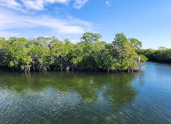 florida/everglades/landmark/grecian-rocks