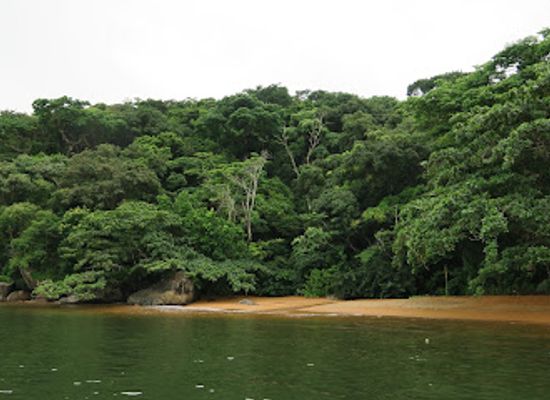 madagascar/sava/landmark/nosy-mangabe