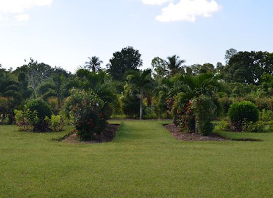 haiti/nippes/landmark/cayes-botanical-garden