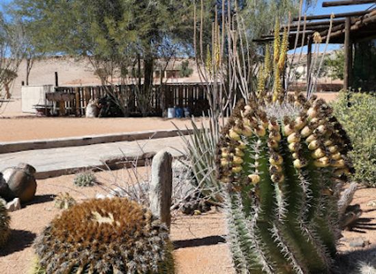 namibia/namib-desert/landmark/bushman-s-desert-camp-self-catering