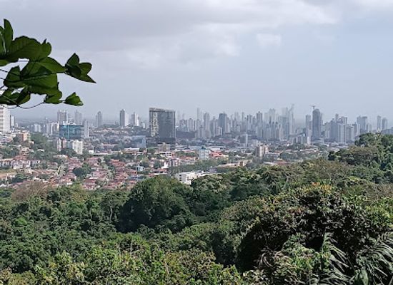 panama/panama-city/punta-pacifica/landmark/metropolitan-natural-park