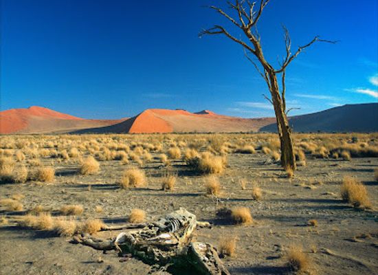 namibia/sossusvlei/landmark/hidden-vlei