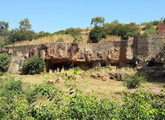 mali/mopti/landmark/zoo-national-du-mali