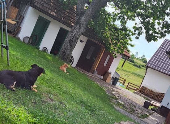slovakia/podpolanie/landmark/chalupa-na-zelenej-luke-hrinovske-lazy