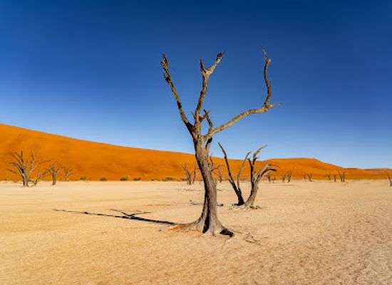 namibia/namib-desert/landmark/deadvlei