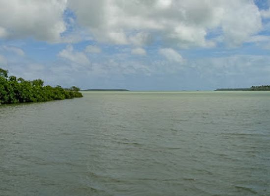 tonga/lofanga/landmark/captain-cook-landing-site