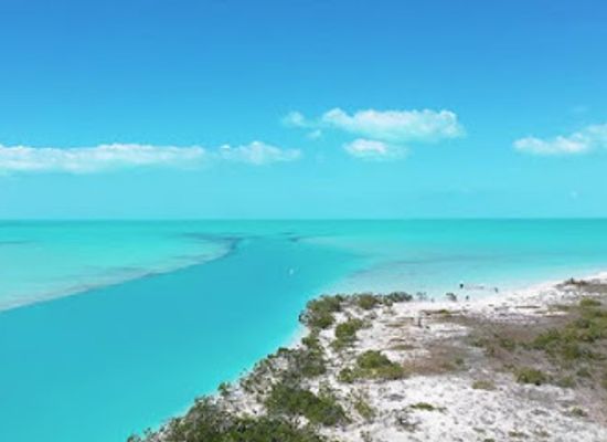 the-bahamas/andros/landmark/west-side-national-park