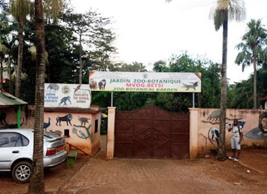 cameroon/south-region/landmark/mvog-betsi-botanical-zoological-garden