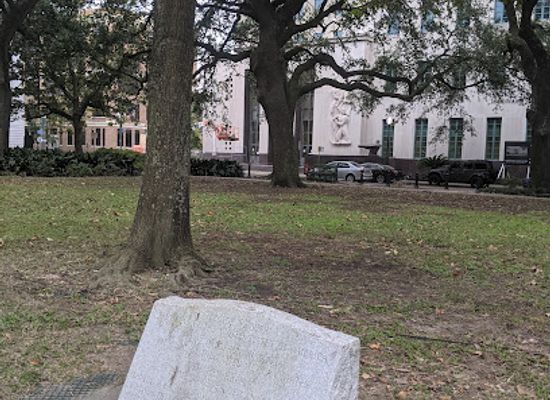 louisiana/new-orleans/landmark/three-presidents-oak