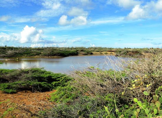 aruba/tanki-leendert/landmark/etnia-nativa-the-navel-of-aruba